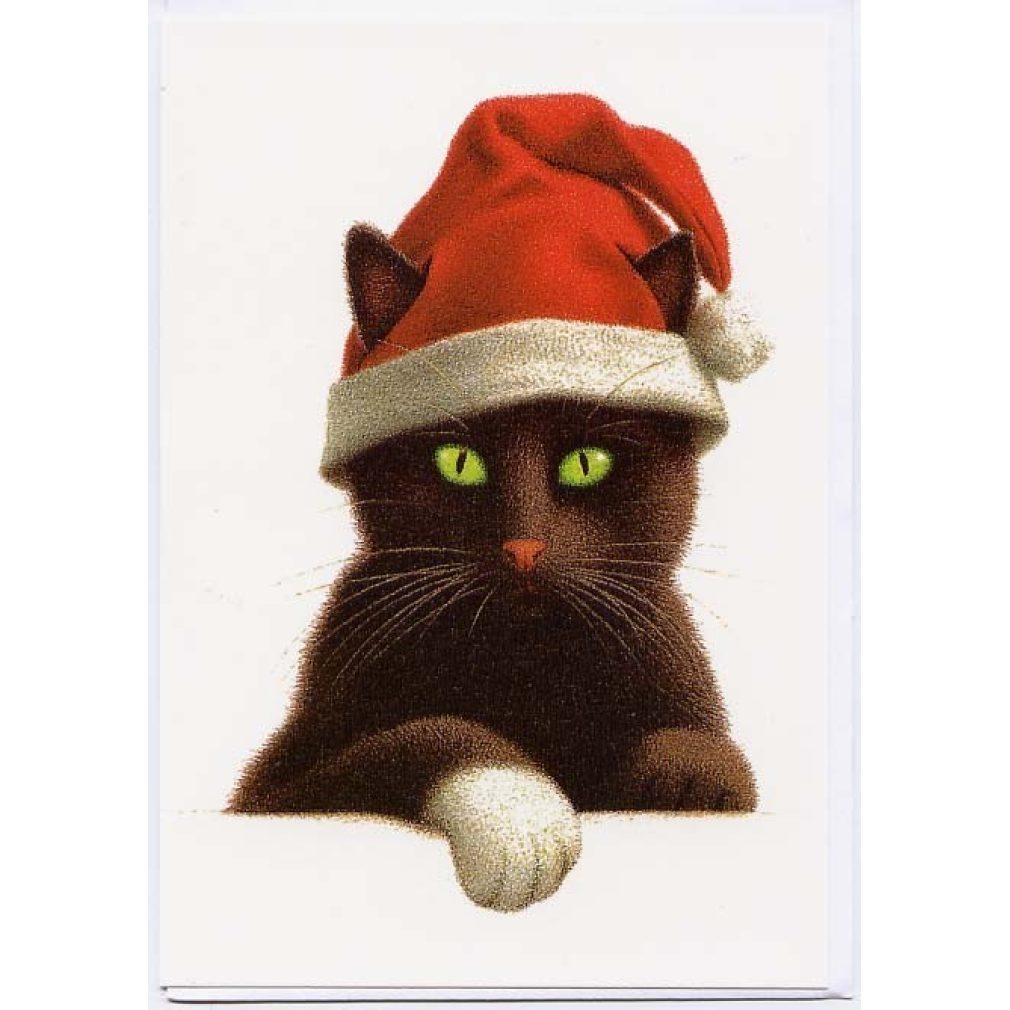 Cat in his hat Christmas Card.