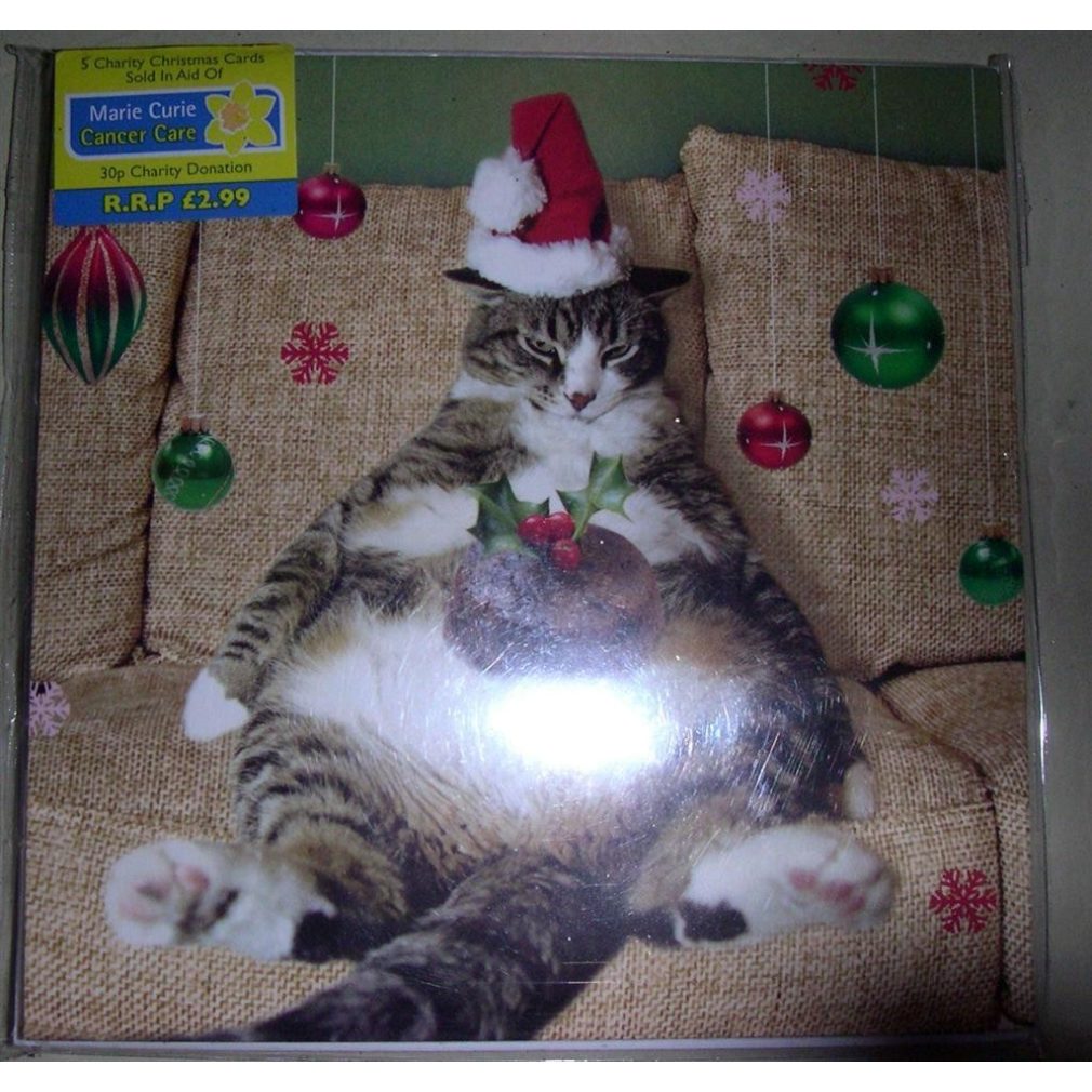 4 packs of 5 Charity Christmas Cards - 1 design - Fat Cat PRICE INCLUDES P&P