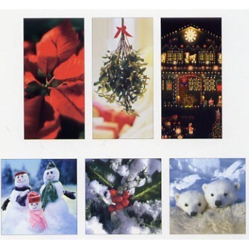 24 charity Christmas cards (By woodmansterne)