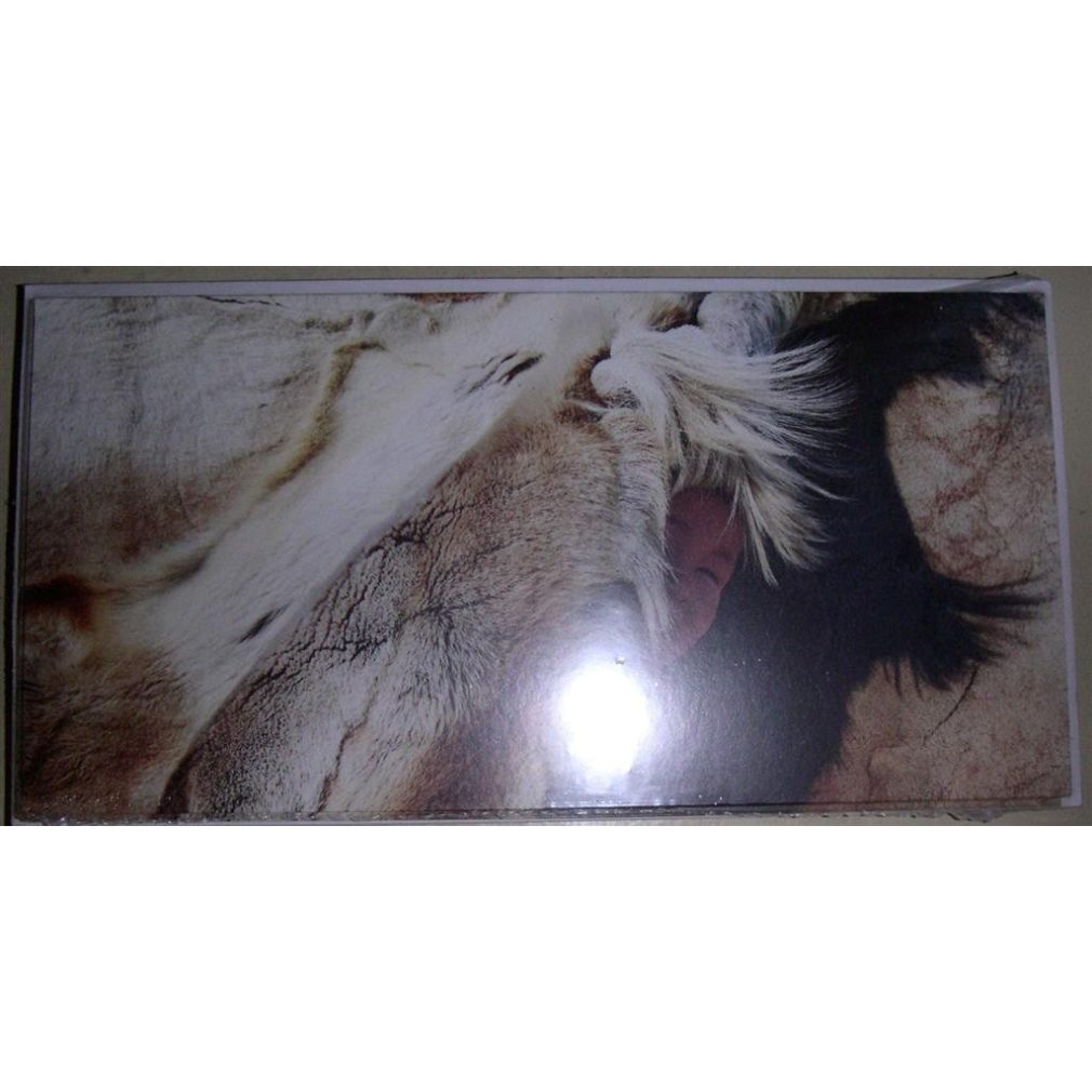 10 Survival International's Christmas Cards - 1 design - Nenets girl