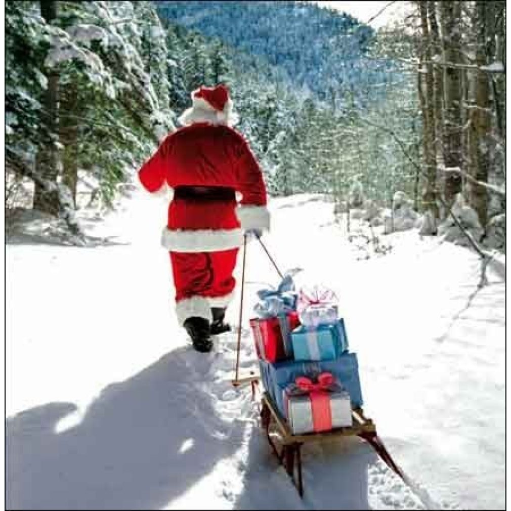 Christmas Cards pack of 5, Presents for All (by Woodmansterne)
