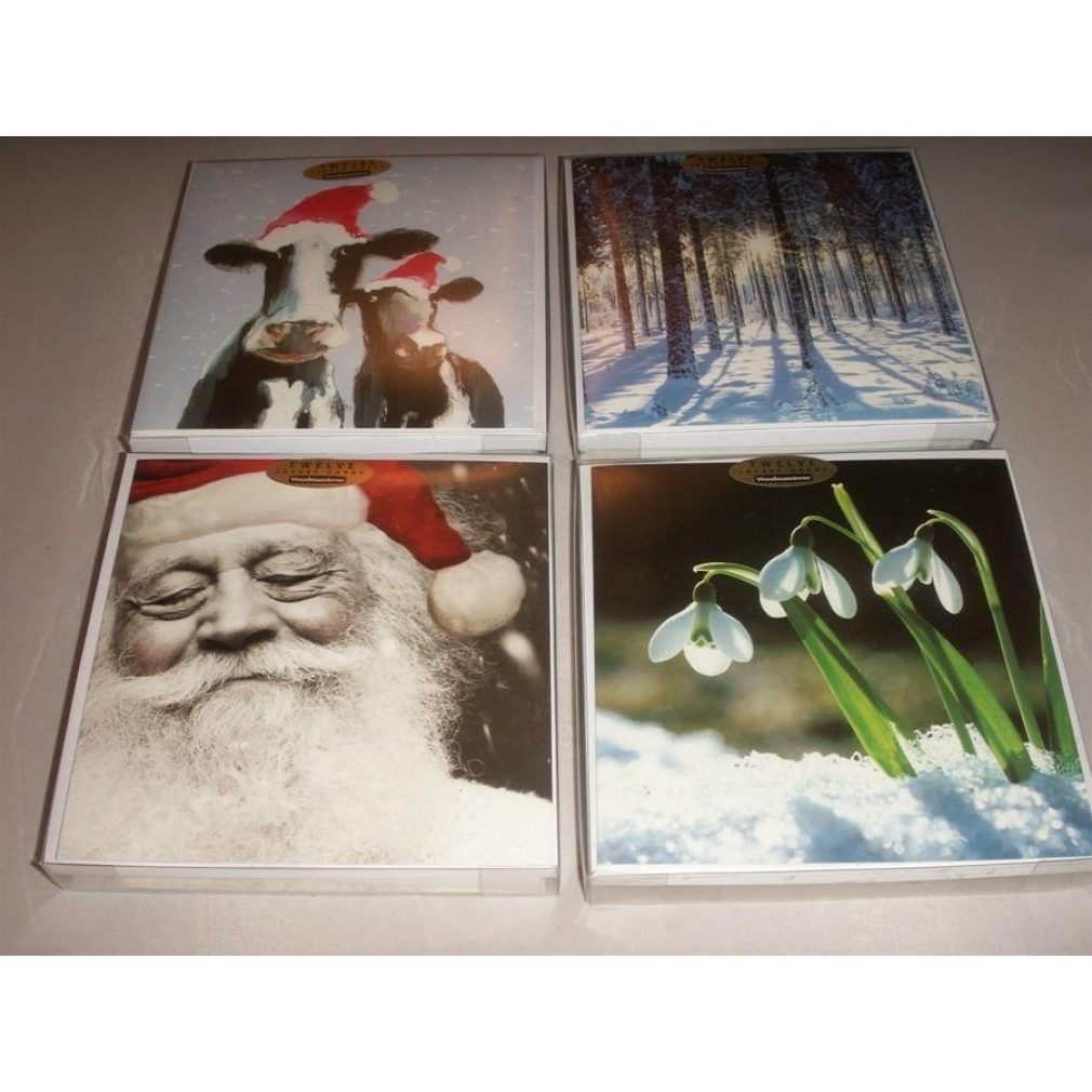 Christmas Cards (By Woodmansterne) Pack of 12
