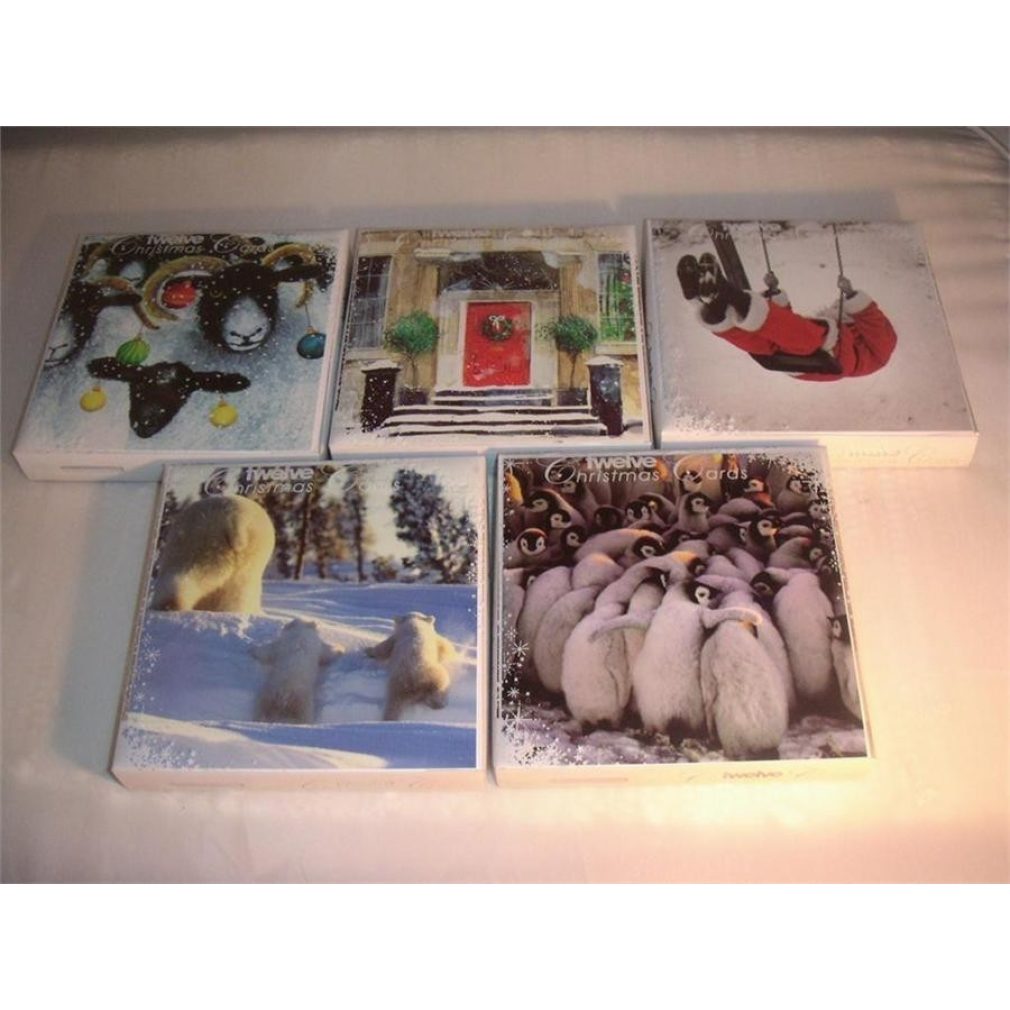 Twelve Christmas Cards
