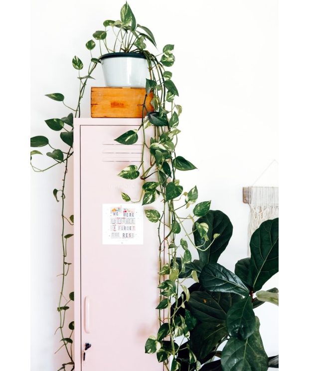 Skinny Locker by Mustard Made - Blush Pink