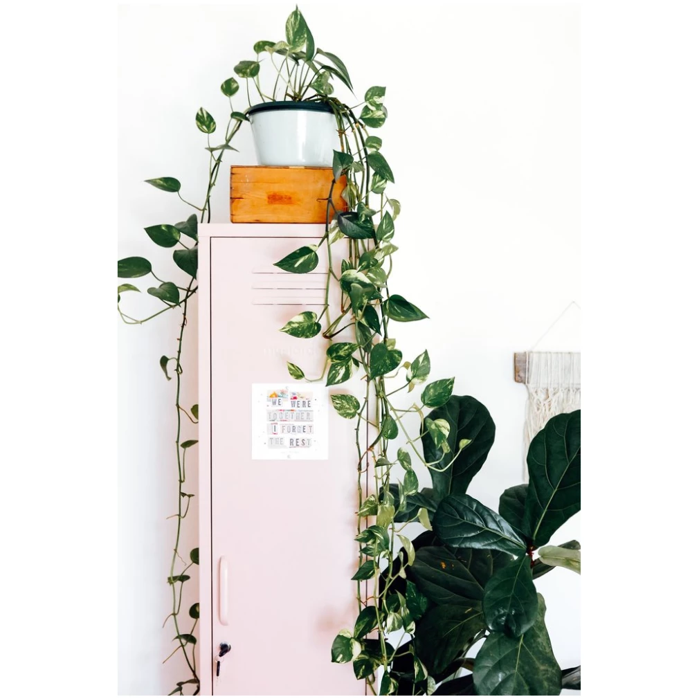 Skinny Locker by Mustard Made - Blush Pink