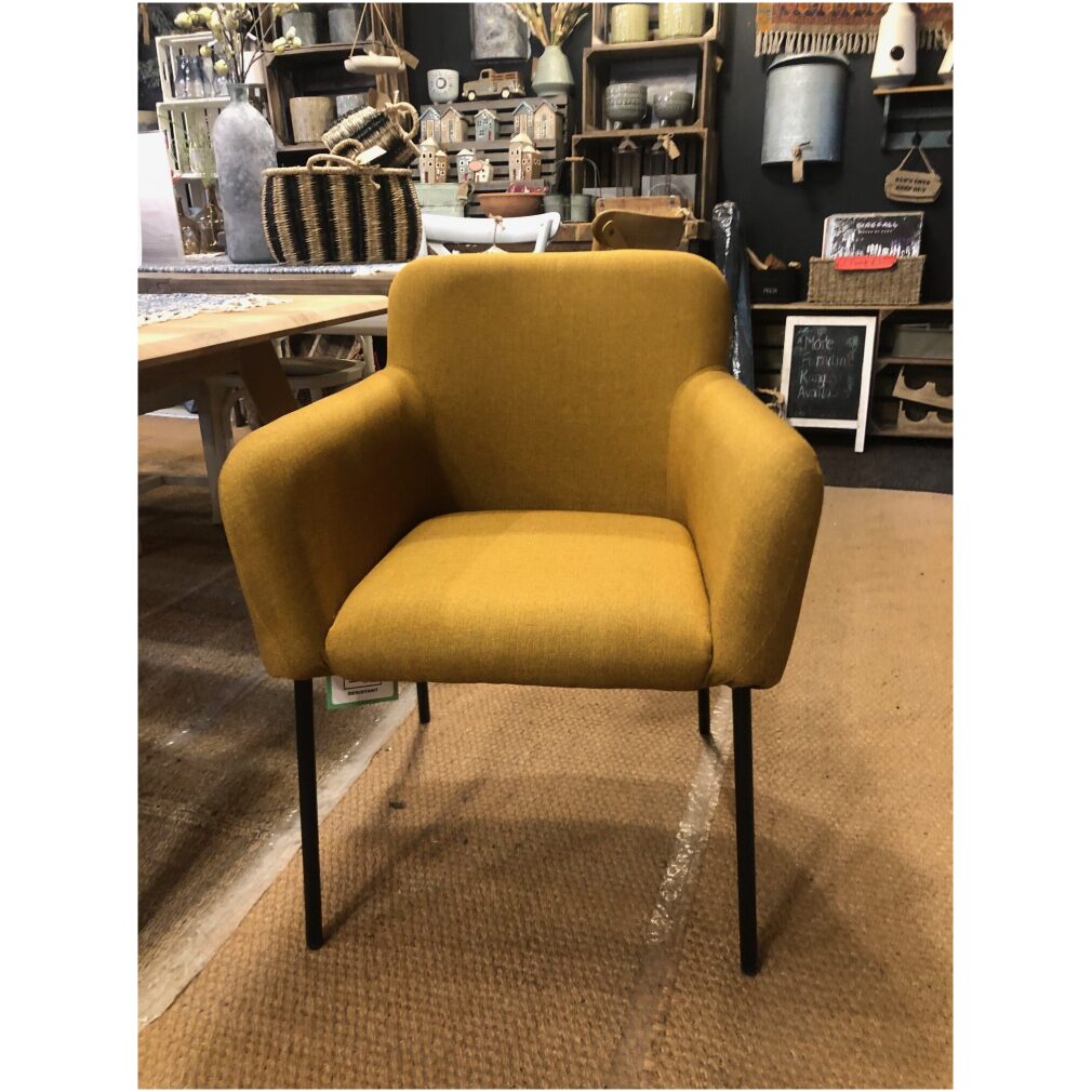 Bella Dining Chair / Armchair